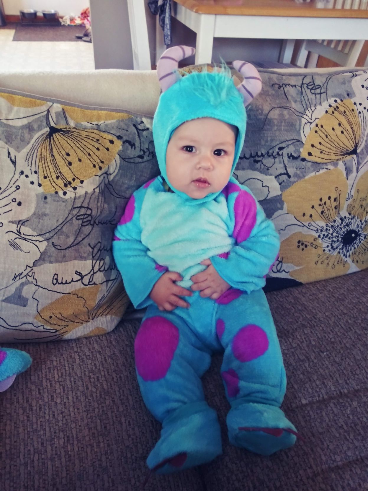 Sully
